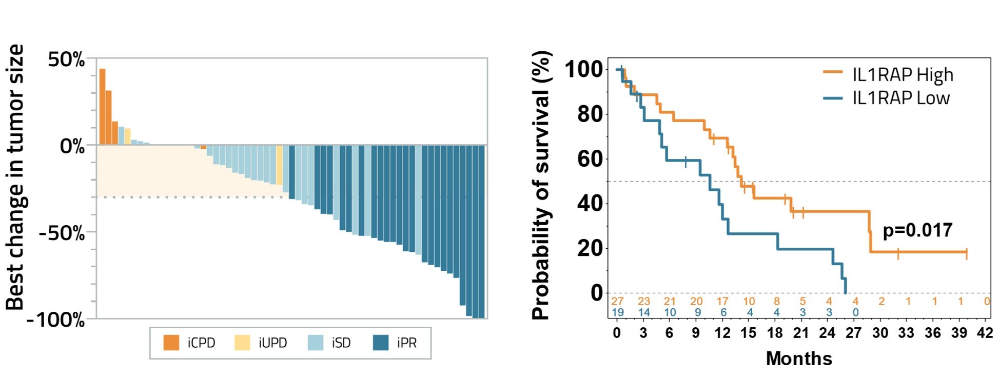 Tumörresponser enligt iRECIST (vänster); total överlevnad för de 46 PDAC-patienter för vilka tumörbiopsier tagits och patienterna grupperats baserat på tumörnivå av IL1RAP (höga, n=27; låga, n=19) (höger).