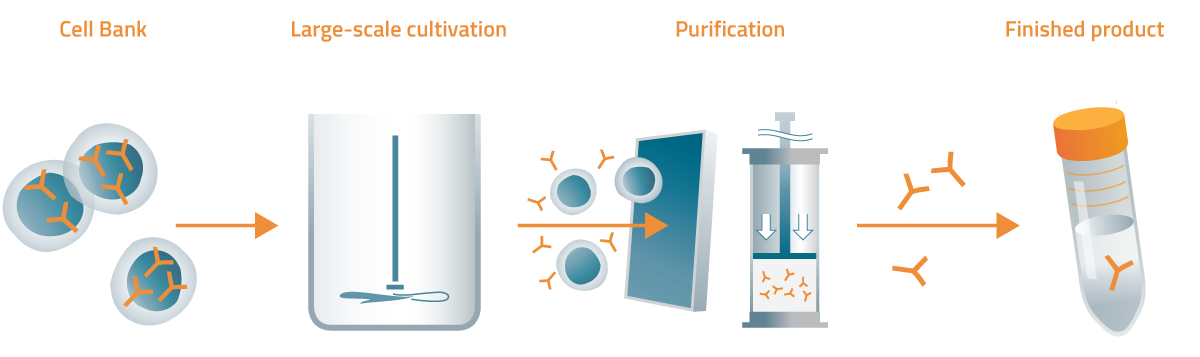 General overview of the CAN04 manufacturing process.