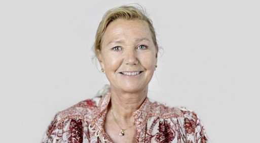 Hilde liten